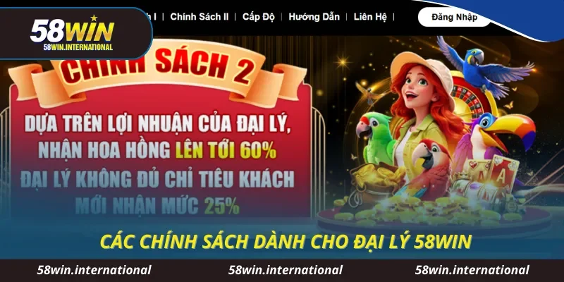 Các chính sách dành cho đại lý 58WIN