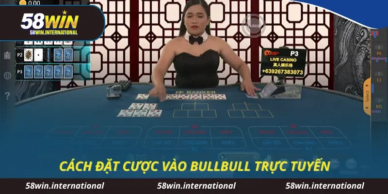 Cách đặt cược vào bullbull trực tuyến