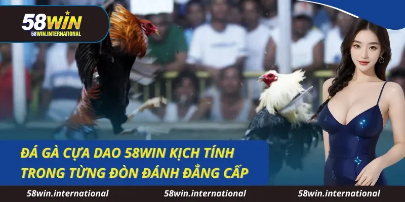 Đá Gà Cựa Dao 58WIN Kịch Tính Trong Từng Đòn Đánh Đẳng Cấp