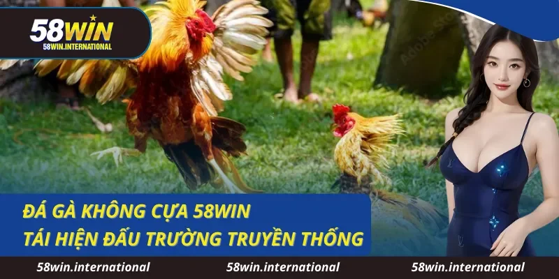 Đá Gà Không Cựa 58WIN Tái Hiện Đấu Trường Truyền Thống